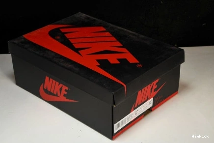 High “Mauve” DZ5485-105 Jordan OG 1 1113